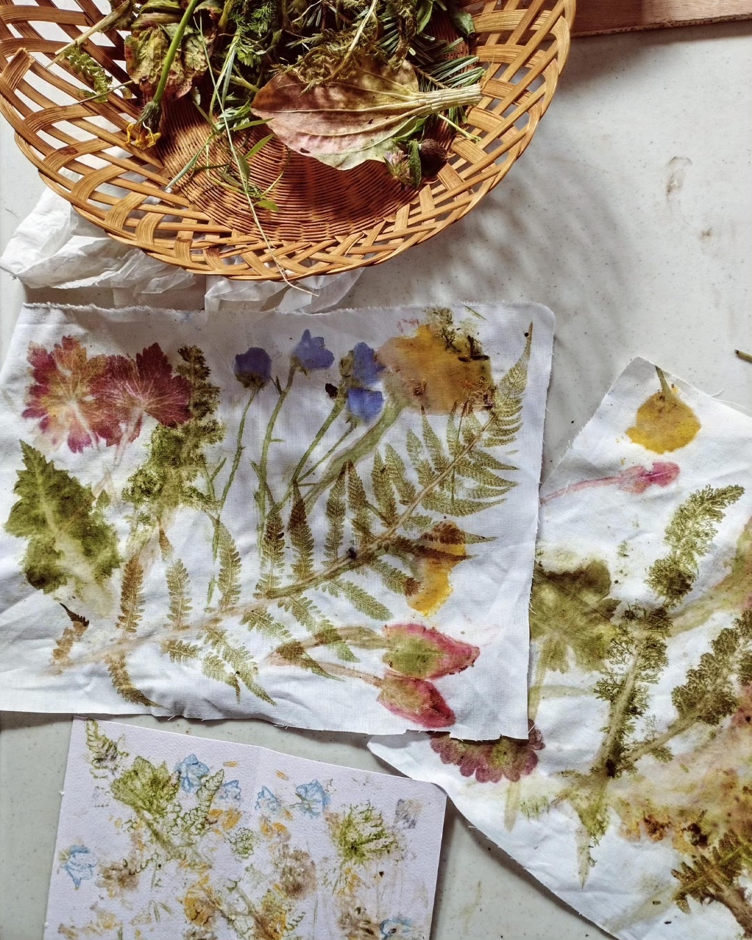 Atelier « la nature qui s’imprime »