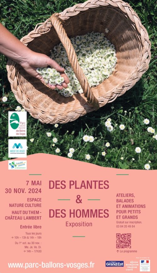 Des Plantes et des Hommes.  Cueillettes et transformations dans le Parc naturel régional des Ballons des Vosges.