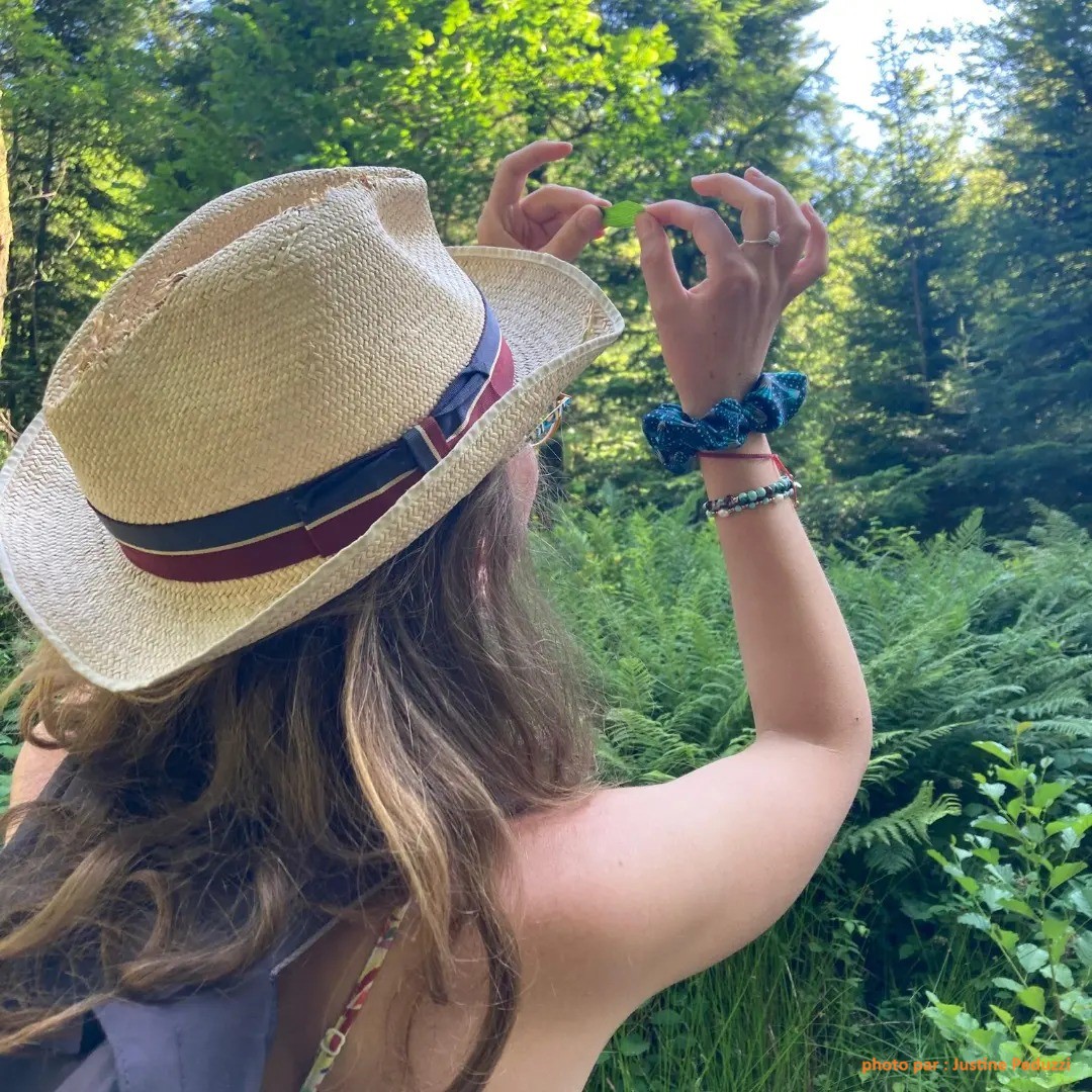 balade découverte des plantes sauvages dans les Vosges :D