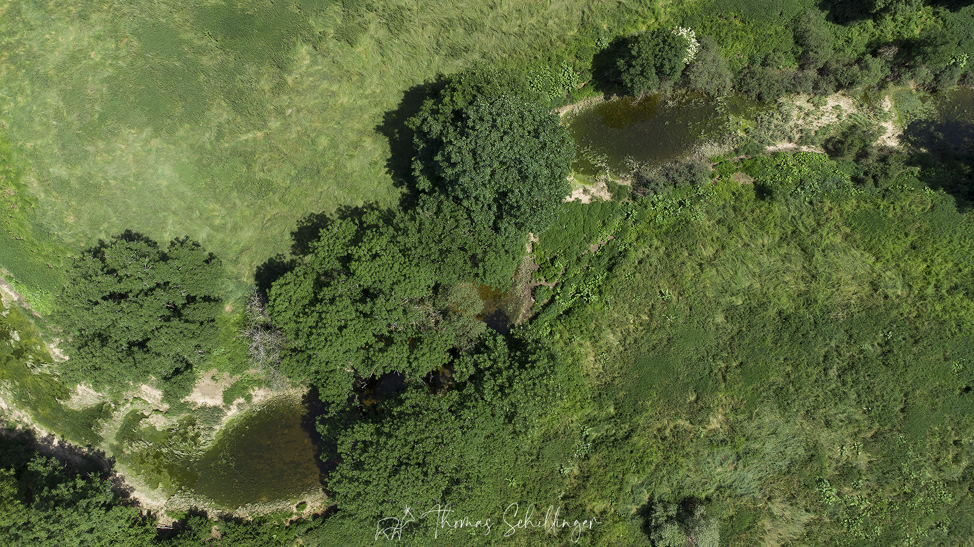 Découverte des pertes de la Meuse Découverte des pertes de la Meuse