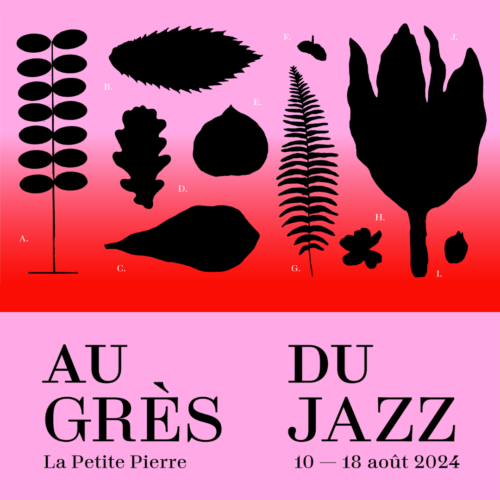Festival Au grès du jazz