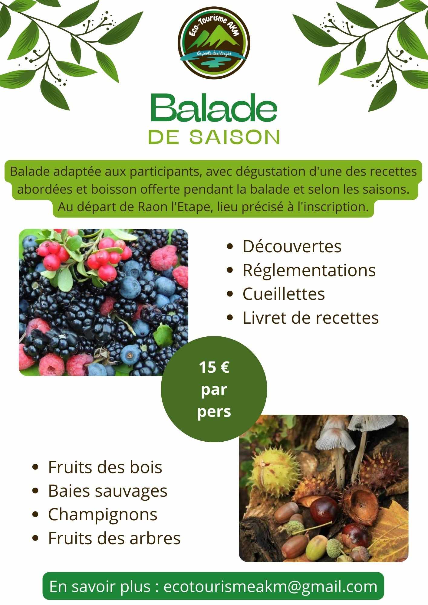 Balade autour des champignons