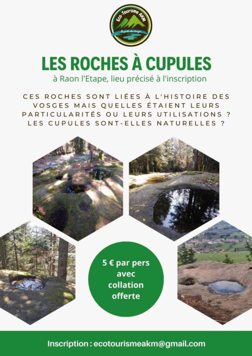 Visite guidée, animée sur les Roches à cupules