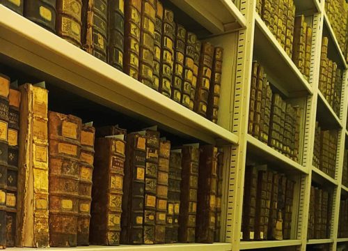 Visite guidée : la bibliothèque, entre histoire et fonds ancien