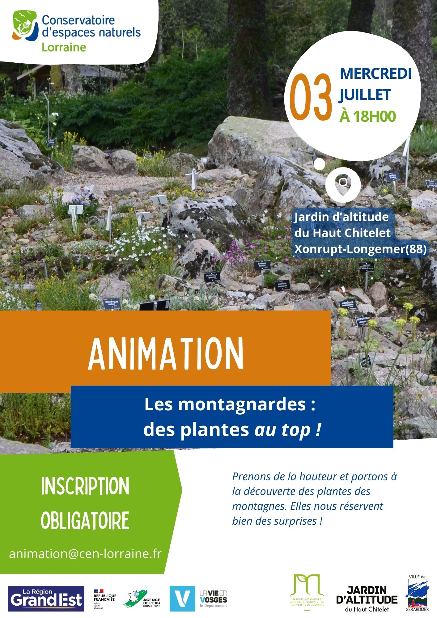 Les montagnardes : des plantes au top! Les montagnardes : des plantes au top!