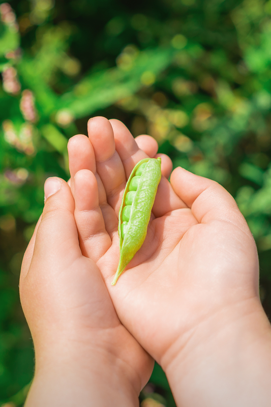 Atelier parents enfants jardinage