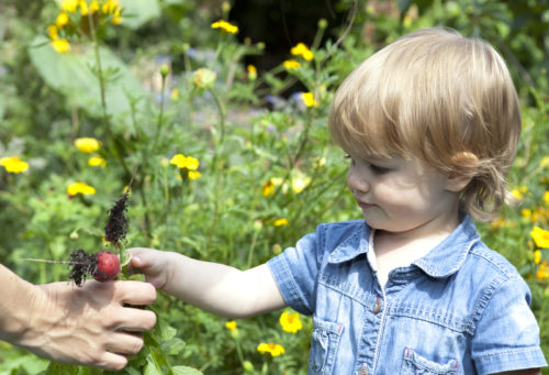 Atelier parents enfants jardinage