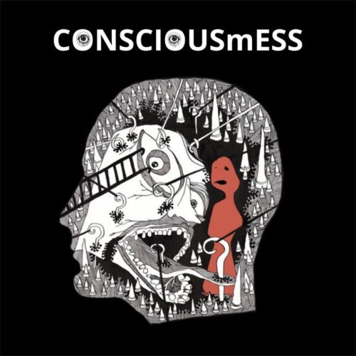 Concert ConsciousMess
