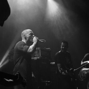 Je fais le bilan de ma voix : pour mieux comprendre sa voix et mieux chanter Je fais le bilan de ma voix : pour mieux comprendre sa voix et mieux chanter