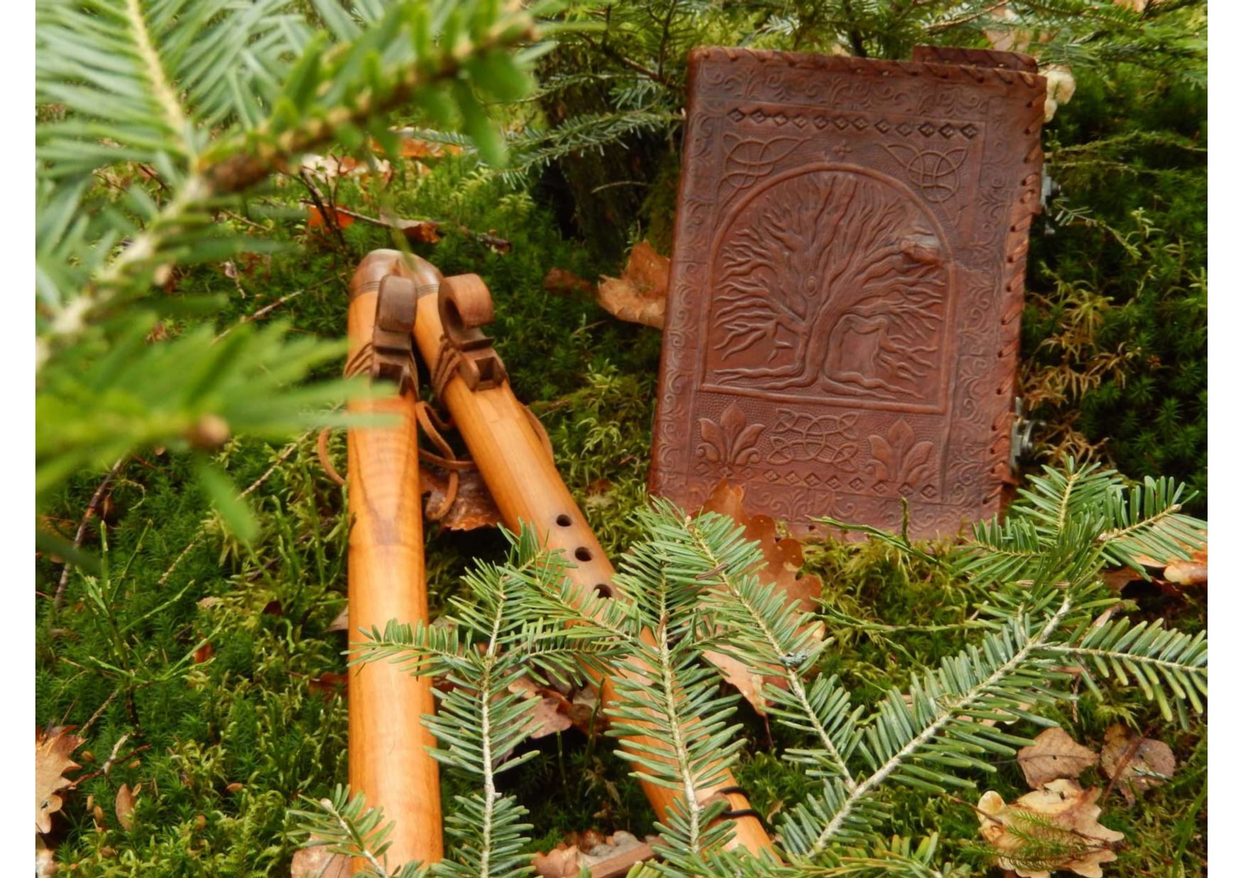 Récit de la forêt en musique