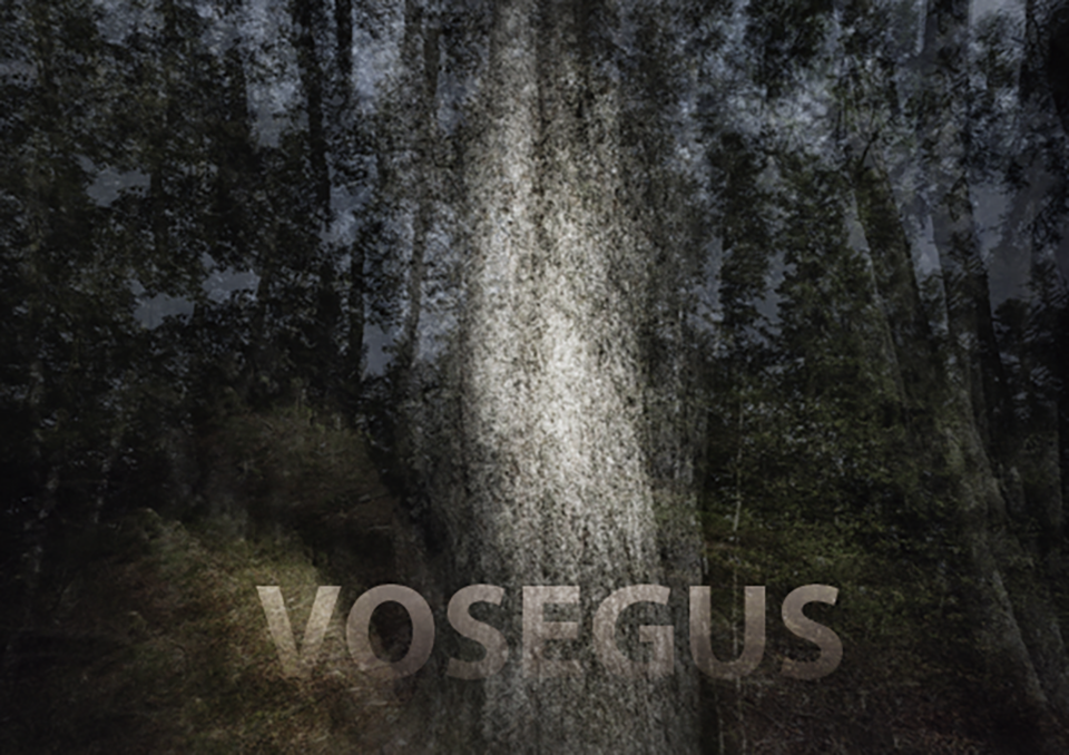 VOSEGUS