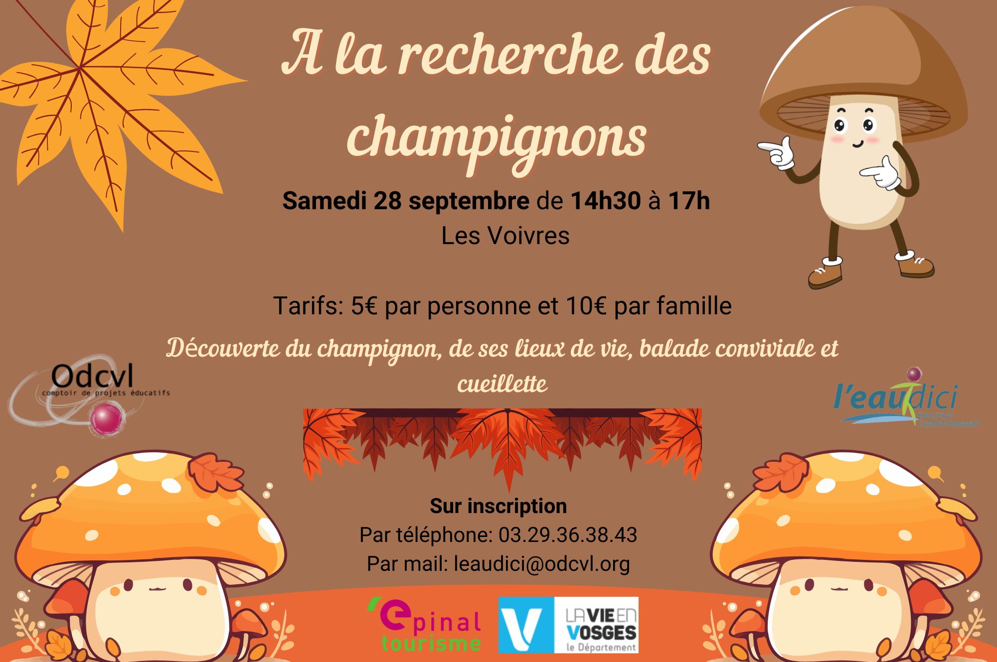 A la recherche des champignons A la recherche des champignons
