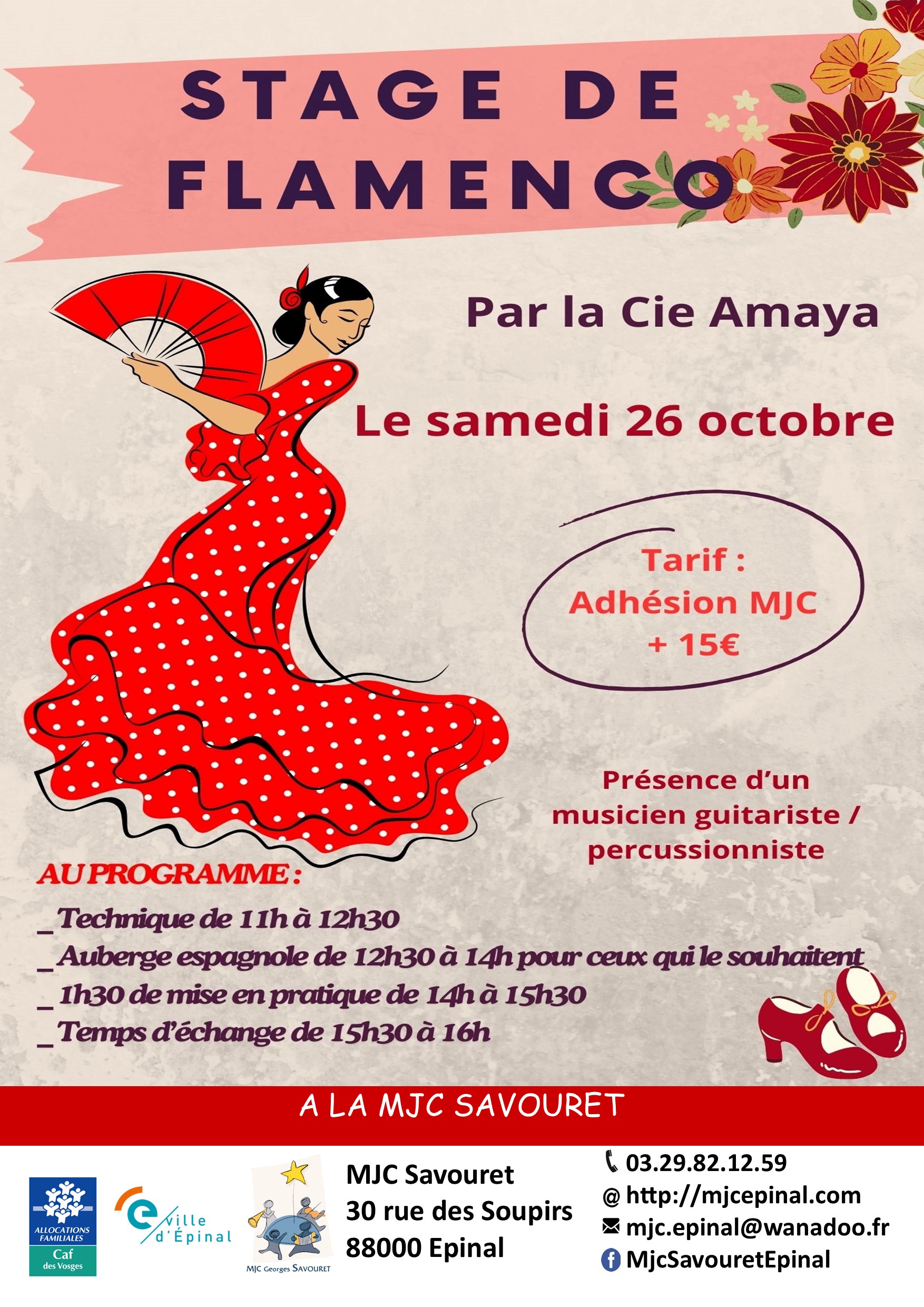 Stage de Flamenco