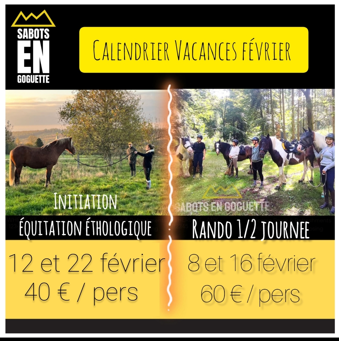 Sorties spéciales vacances février