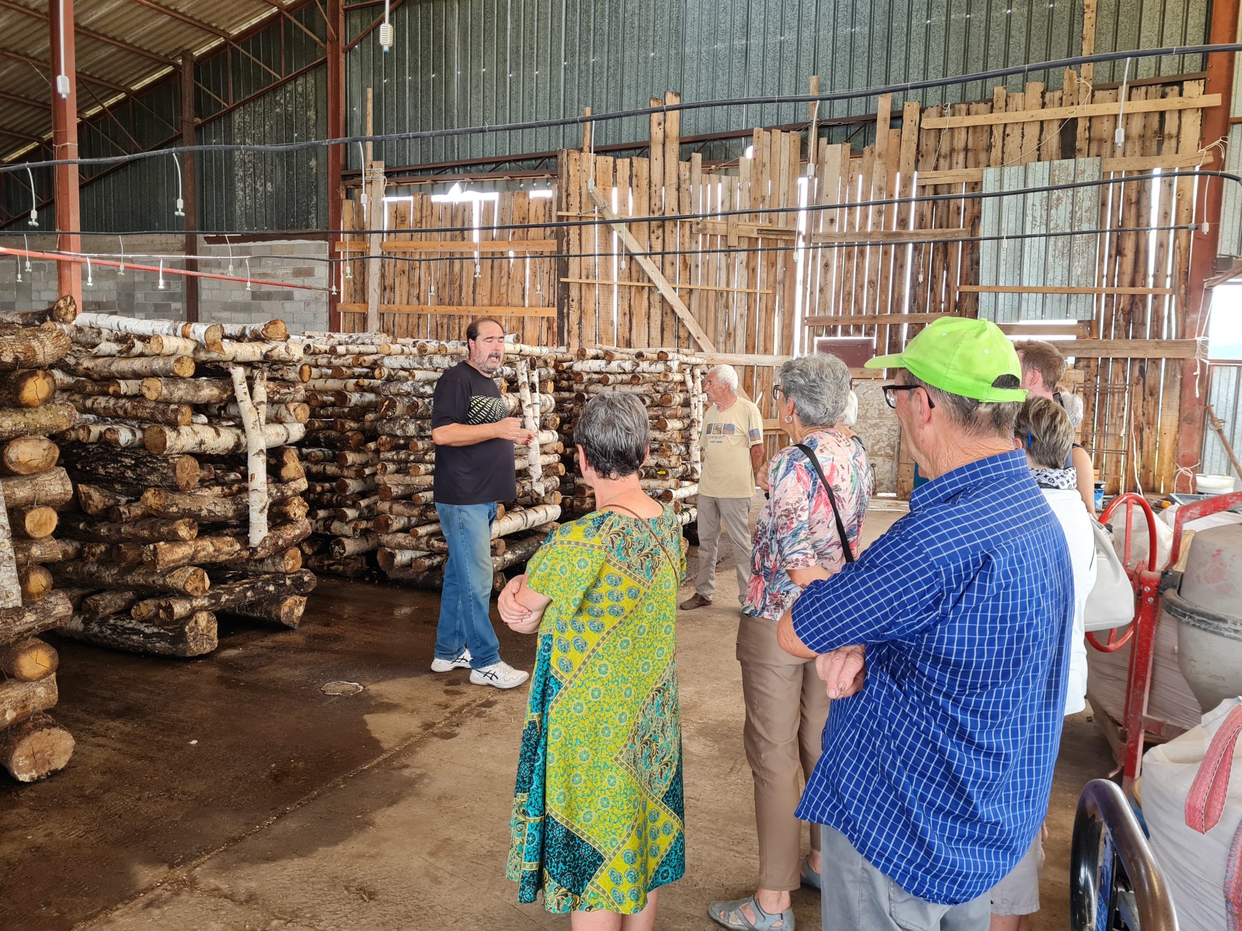 Visite d’une culture de Shiitake - 1