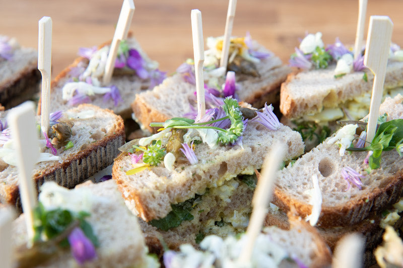 Atelier cuisine sauvage avec Stéphane MEYER, cuisinier ethnobotaniste Atelier cuisine sauvage avec Stéphane MEYER, cuisinier ethnobotaniste