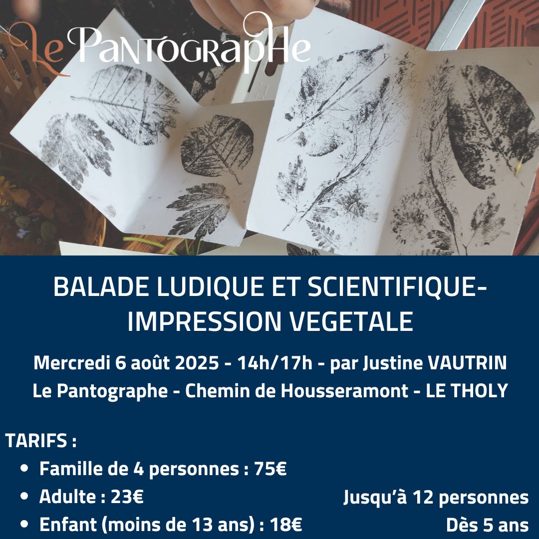 Atelier Familles : Balade ludique et impression végétale