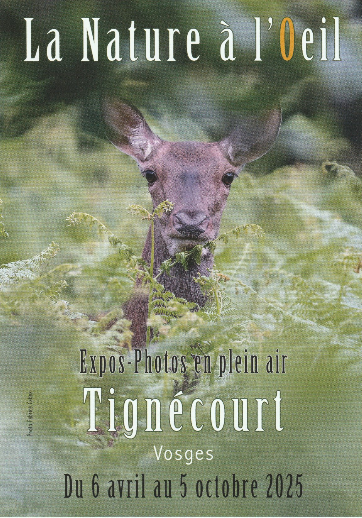 Natur’images / La Nature à l’Oeil Natur’images / La Nature à l’Oeil