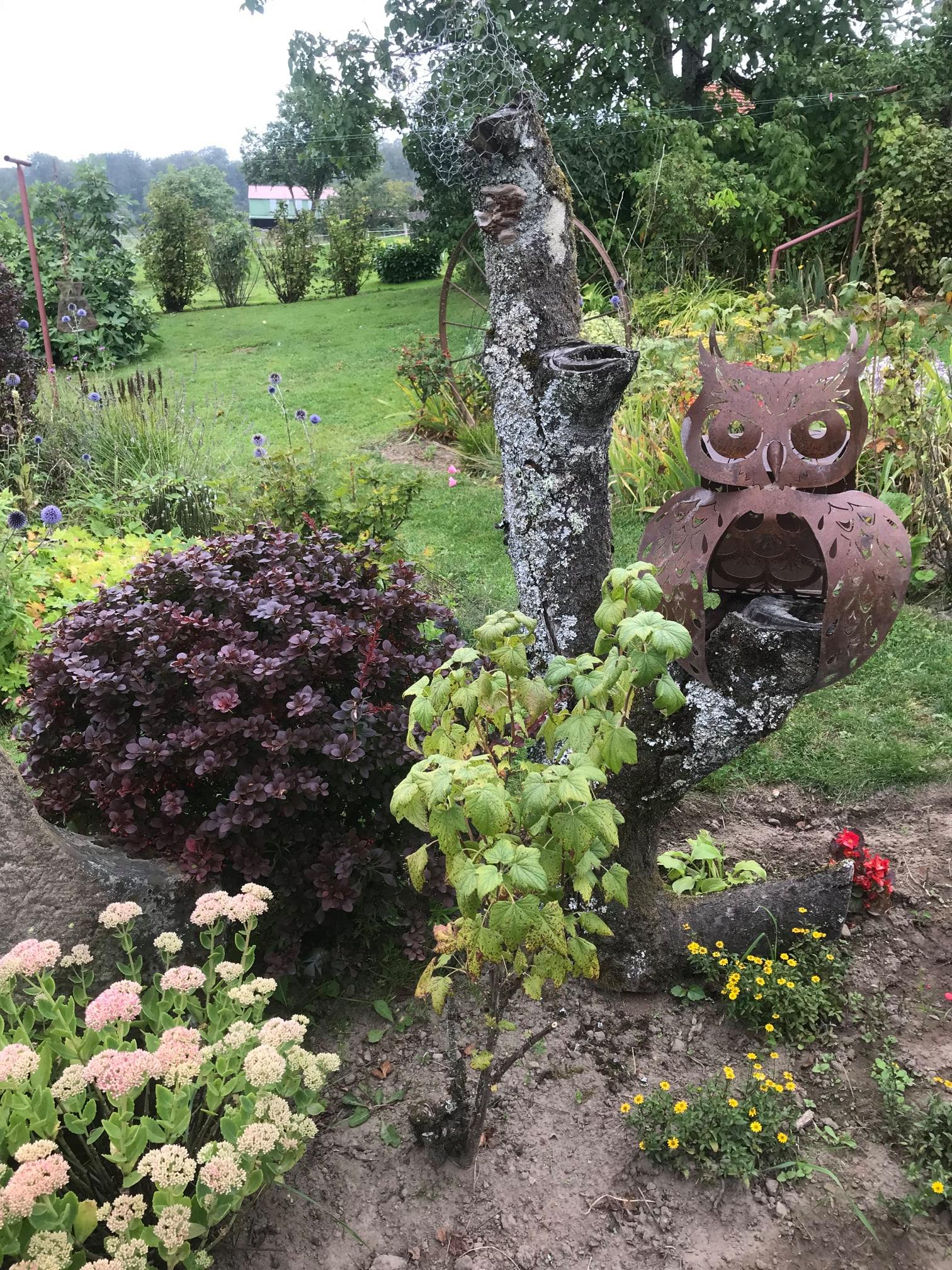Vide jardin à la grange aux chouettes
