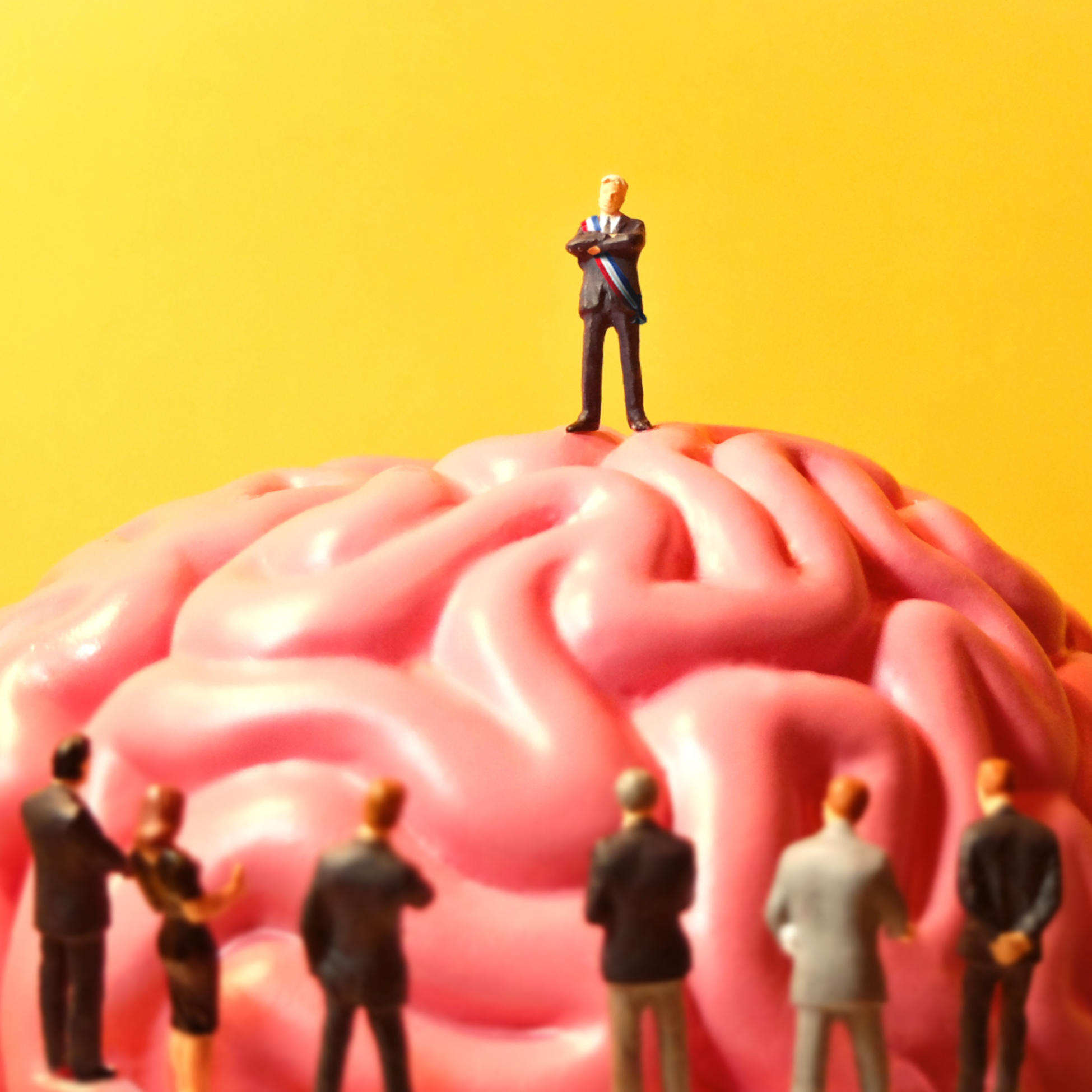 L’art d’avoir toujours raison