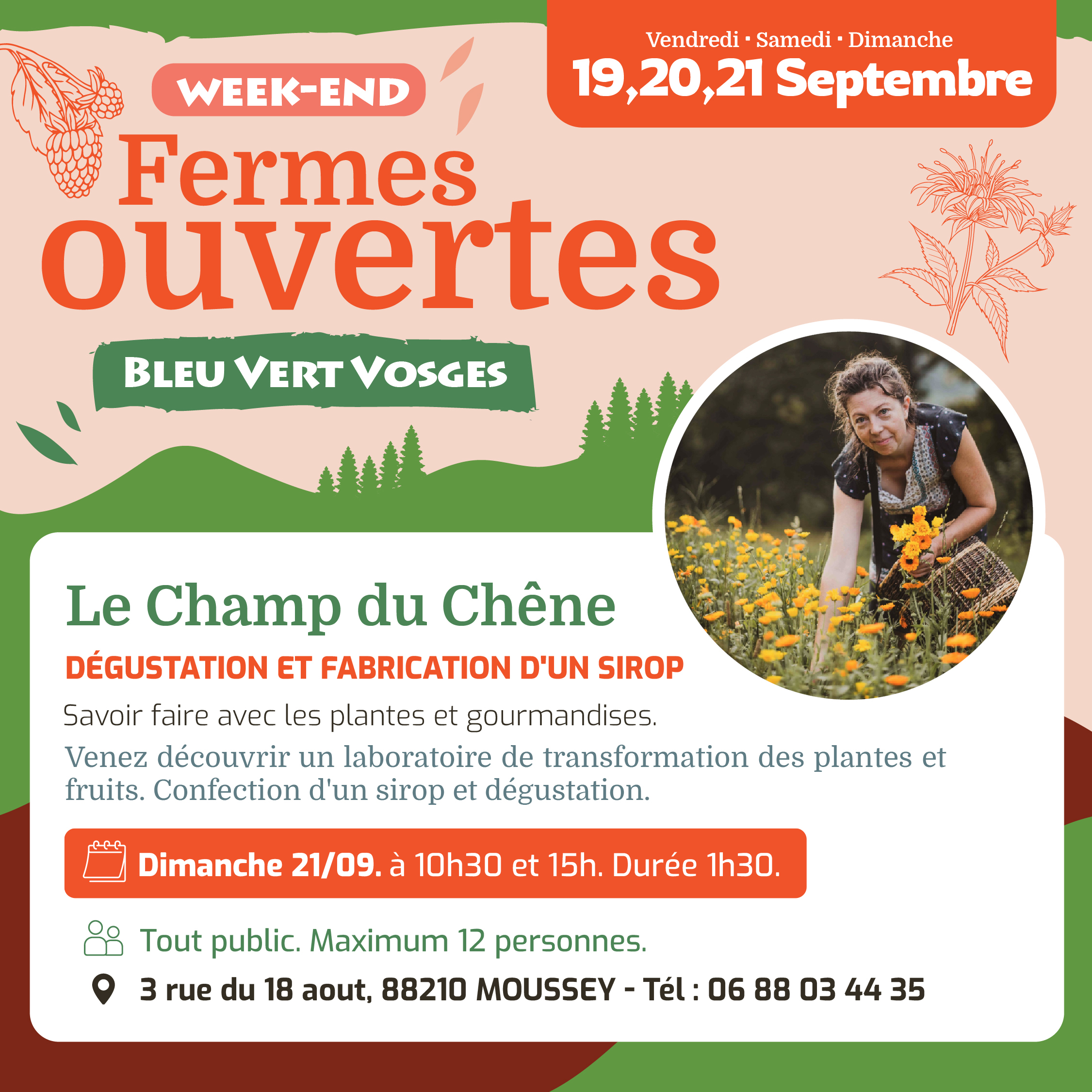 Savoir faire avec les plantes et gourmandises au Champ du Chêne Savoir faire avec les plantes et gourmandises au Champ du Chêne