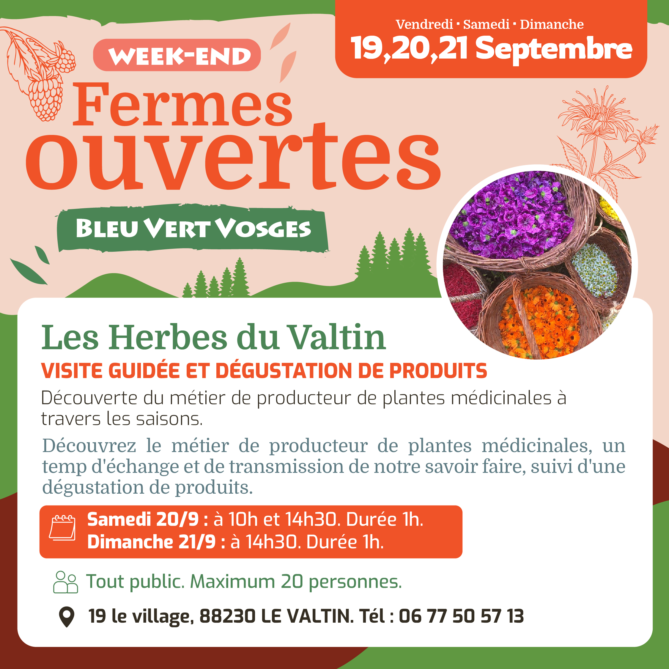 Le métier de producteur de plantes médicinales à travers les saisons