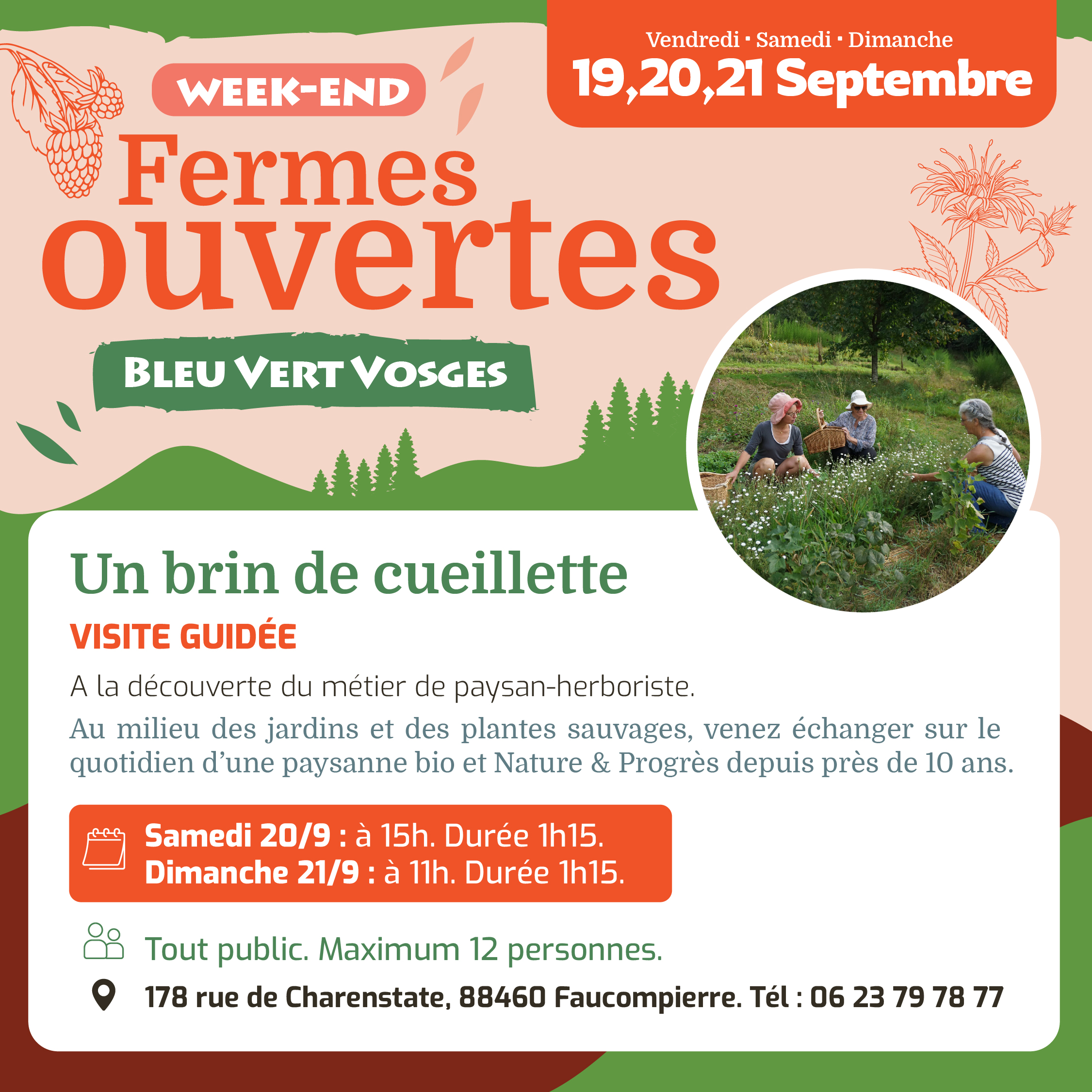 Un brin de cueillette – A la découverte du métier de paysan-herboriste
