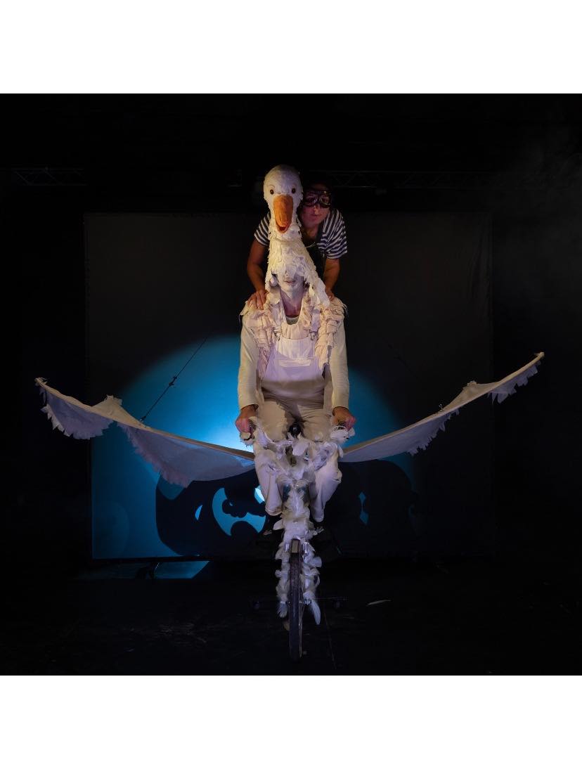 Le merveilleux voyage de Nils