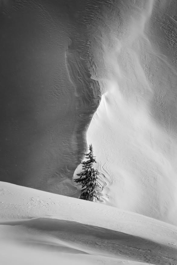 Exposition photos festival de montagne