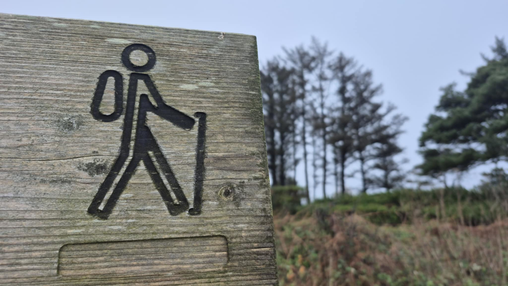 balade avec le club vosgien