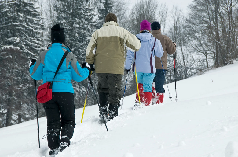 Journée en Raquette à Neige Journée en Raquette à Neige