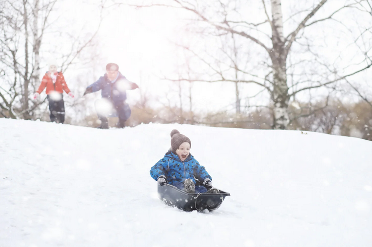 Balade en raquettes à neige et descentes en luge - 1