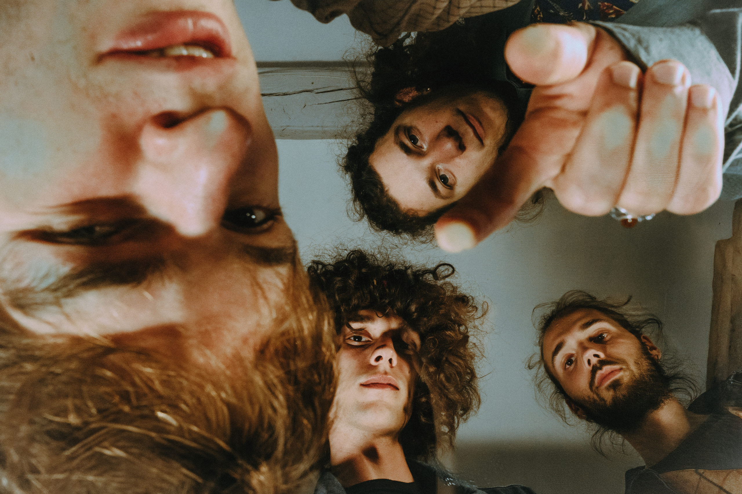 WHEOBE + EXOTICA LUNATICA