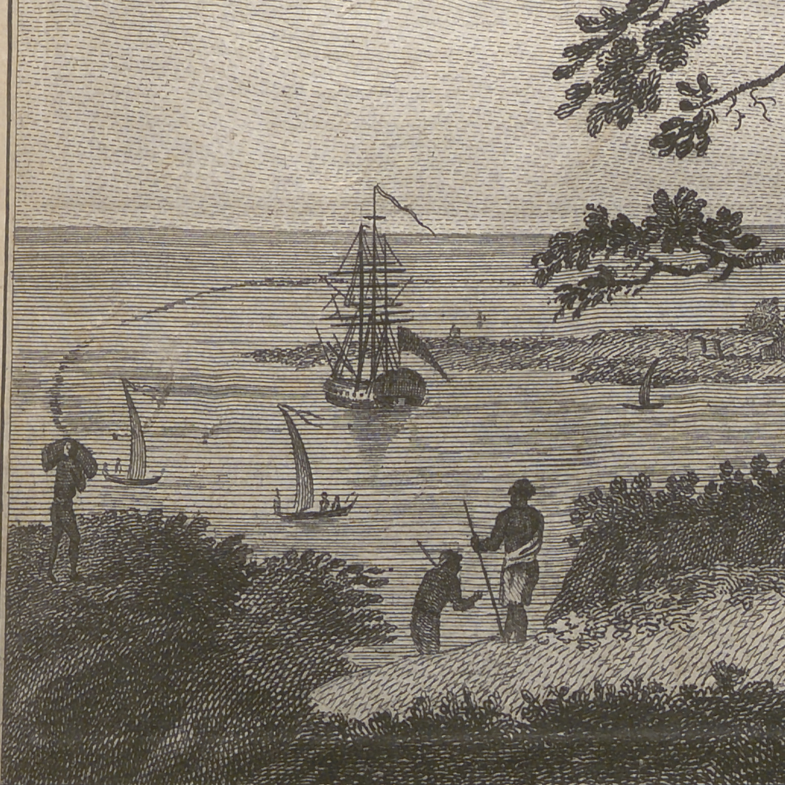 LE JOURNAL DU CAPITAINE