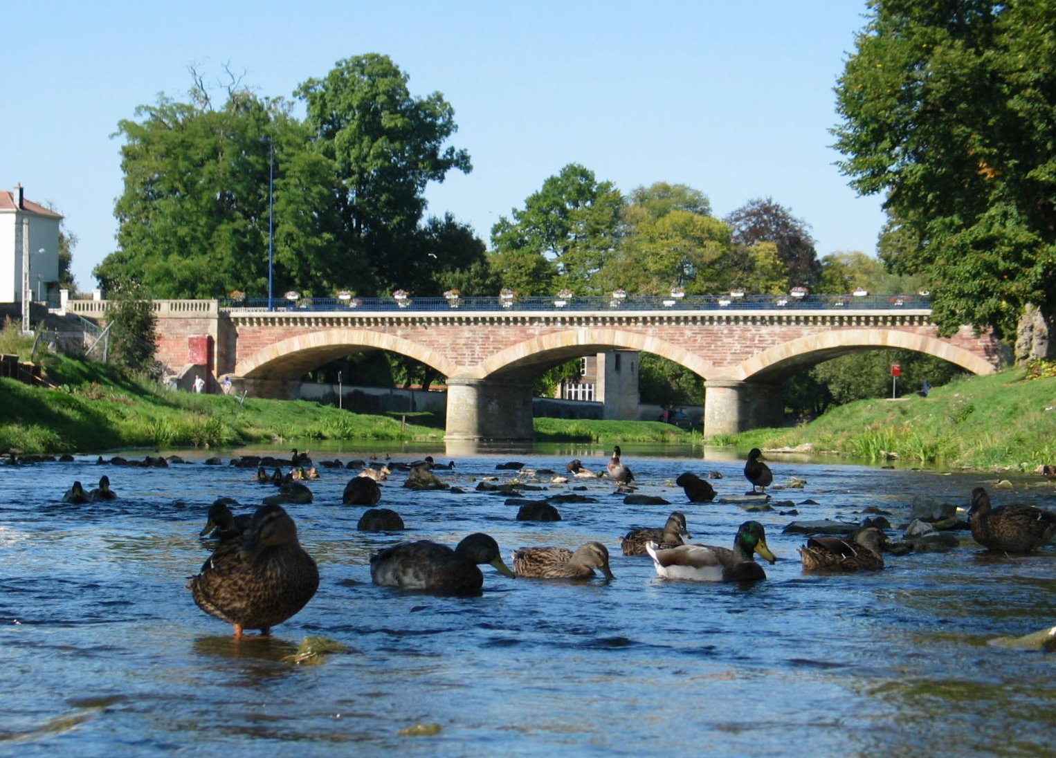 Berges du Madon à Mirecourt