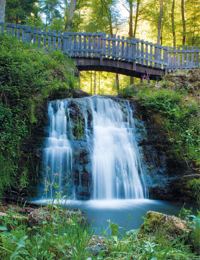Massifs forestiers de Xertigny