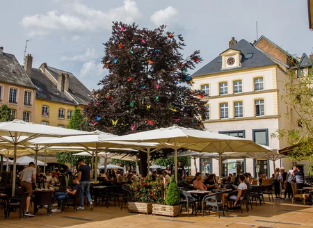 Place Anne Grommerch à Thionville
