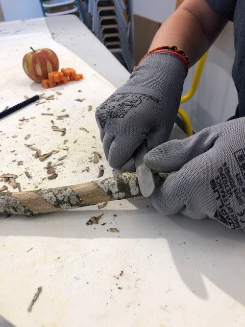 JEMA - Autour de l’établi : à la découverte du canif.