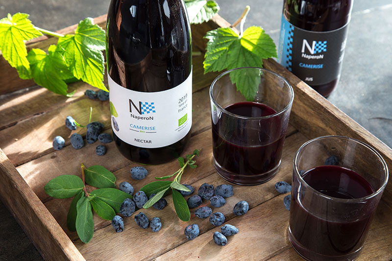 Visite à la découverte de la camerise