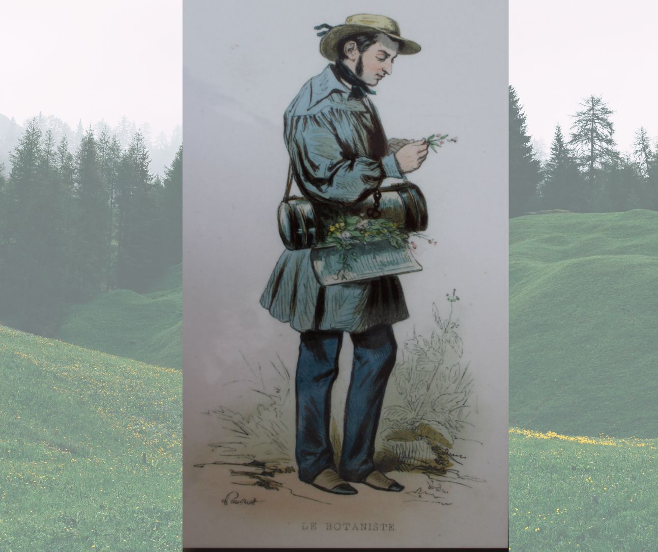 Jean-Baptiste MOUGEOT (1776-1858), médecin naturaliste