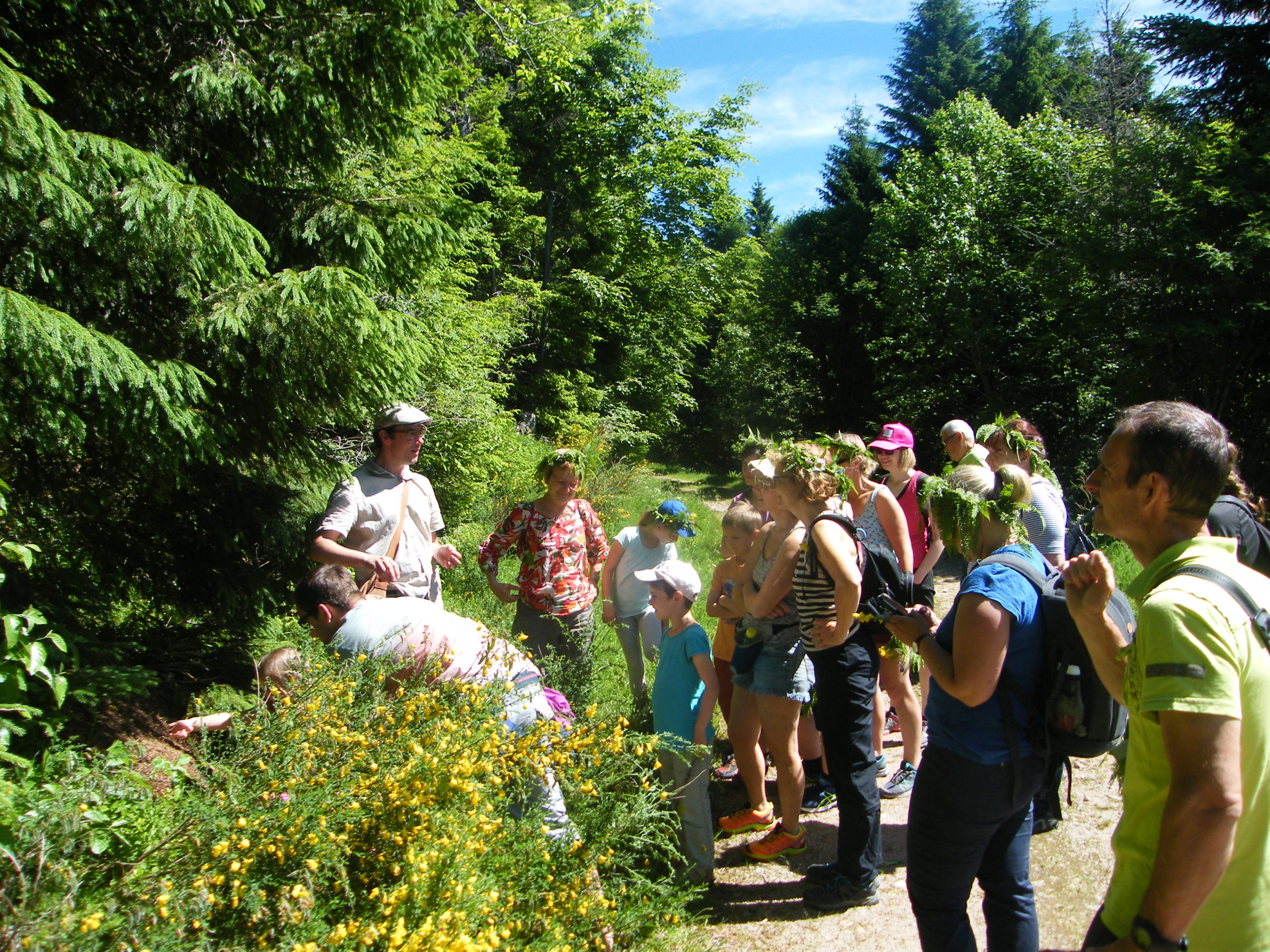 Impressions végétales - 1