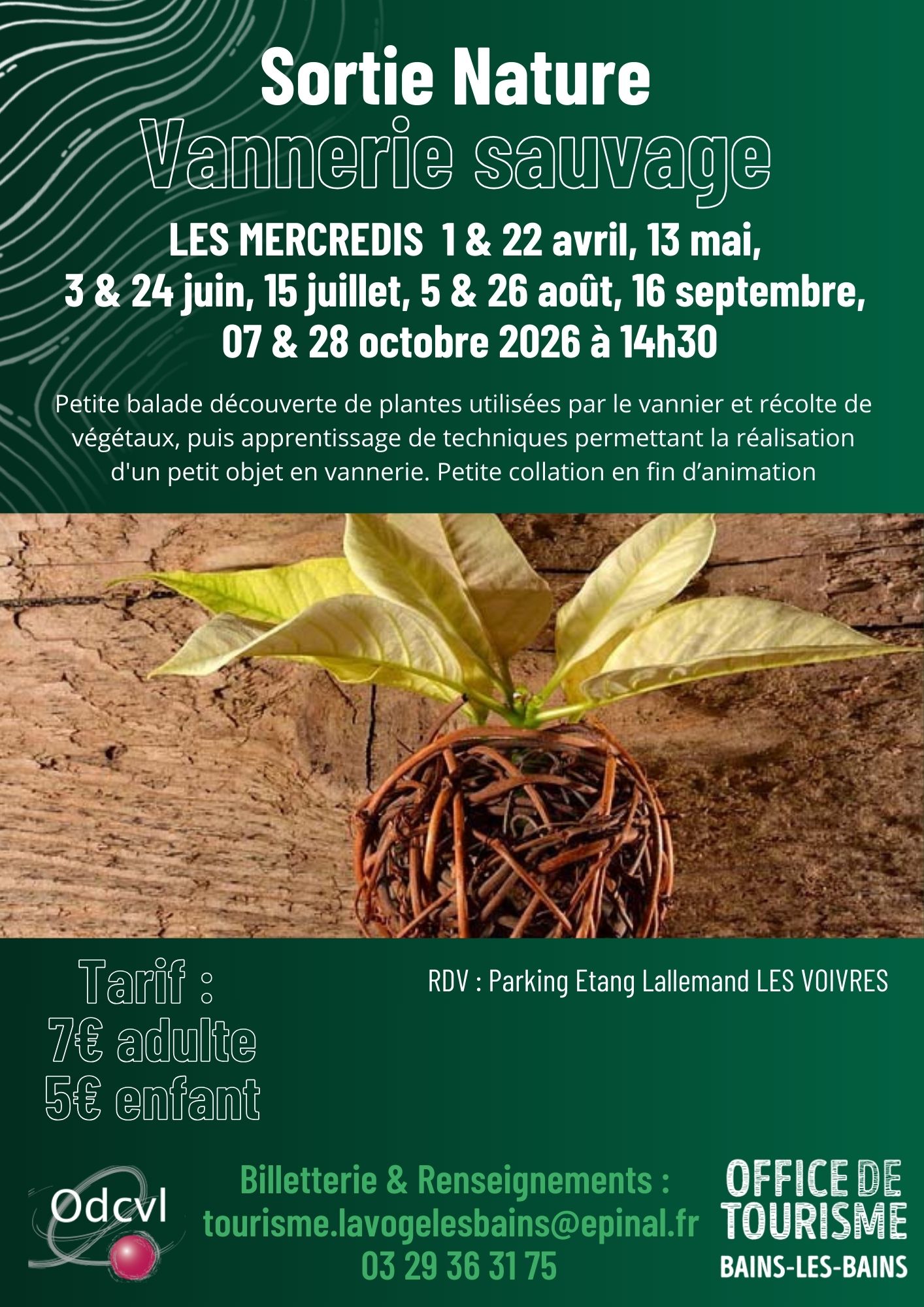 Découverte de la vannerie sauvage