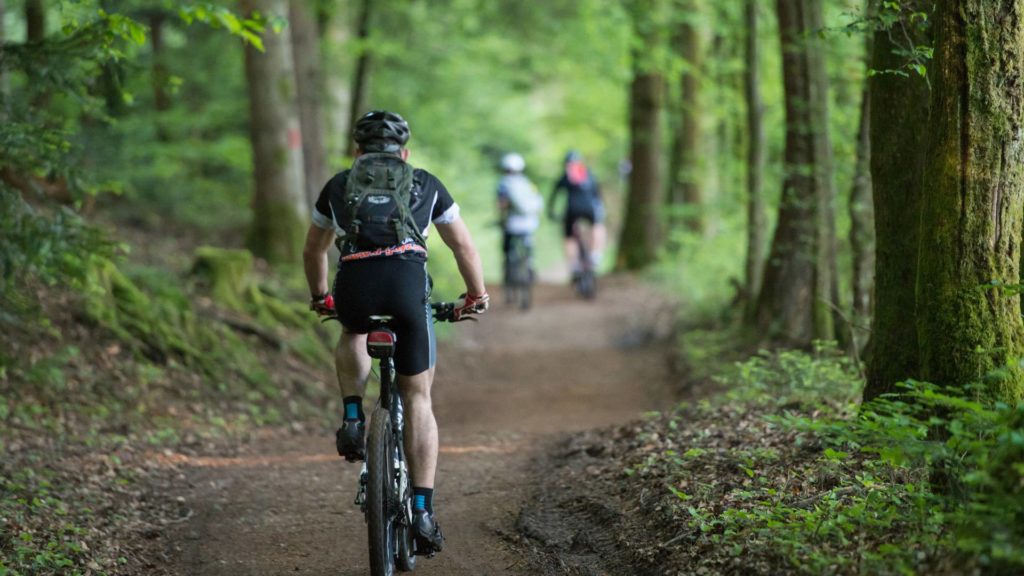 Randonnée VTT dans les Vosges