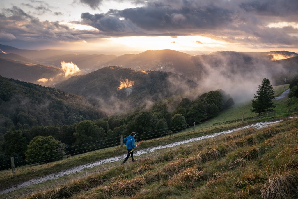 Sport dans les Vosges - Trail