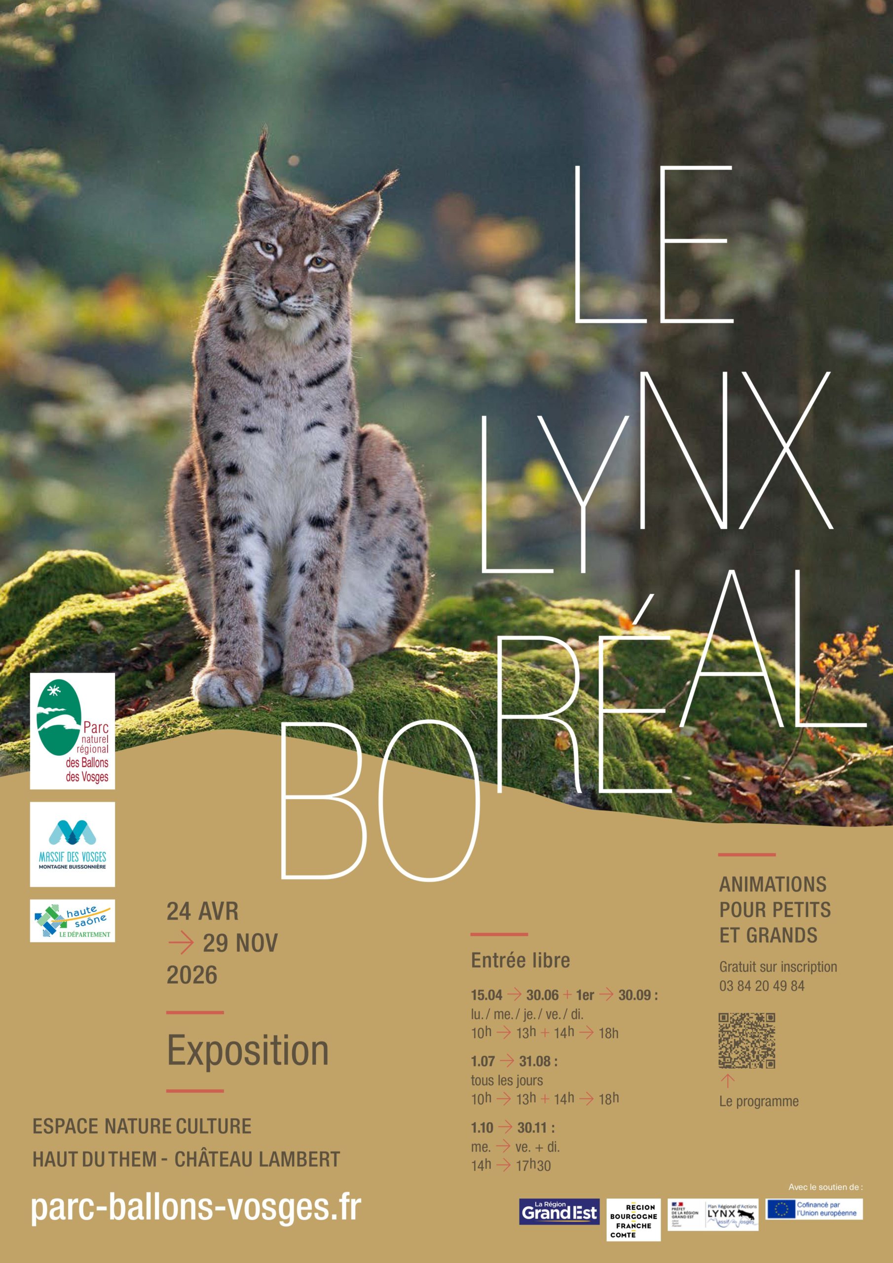 Exposition Le Lynx Boréal