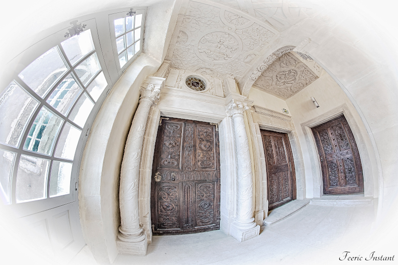 Visite flash de l'escalier Renaissance de l'hôtel de Houdreville