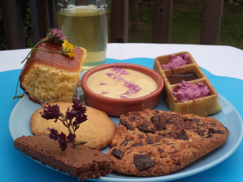 Balade cueillette et goûter nature pour les enfants
