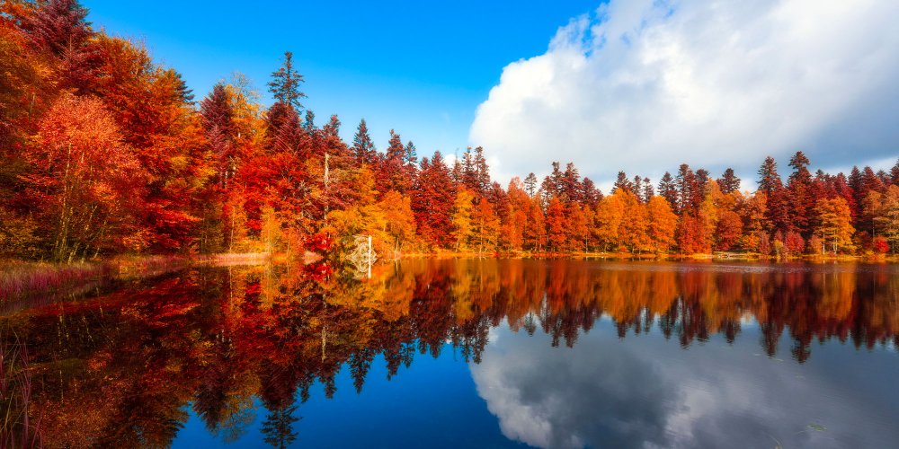 Sport Vosges - Automne dans les Vosges