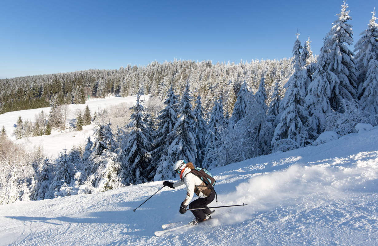 Sport Vosges&nbsp;: Ski