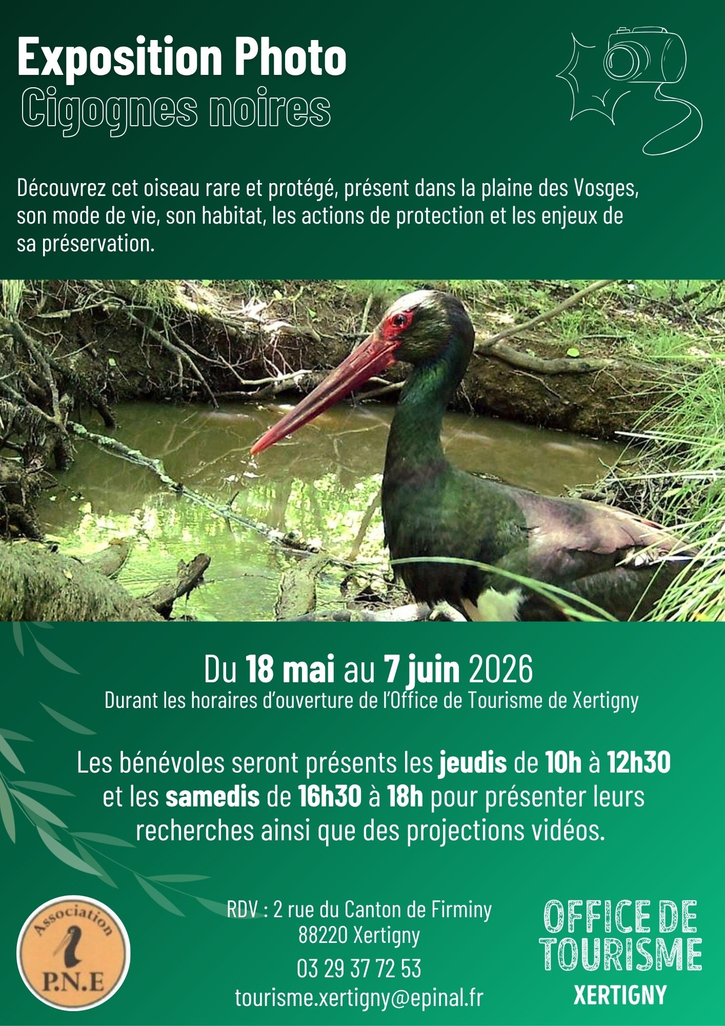 Exposition photos et vidéos de cigognes noires